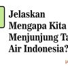 Jelaskan Mengapa Kita Harus Menjunjung Tanah Air Indonesia?